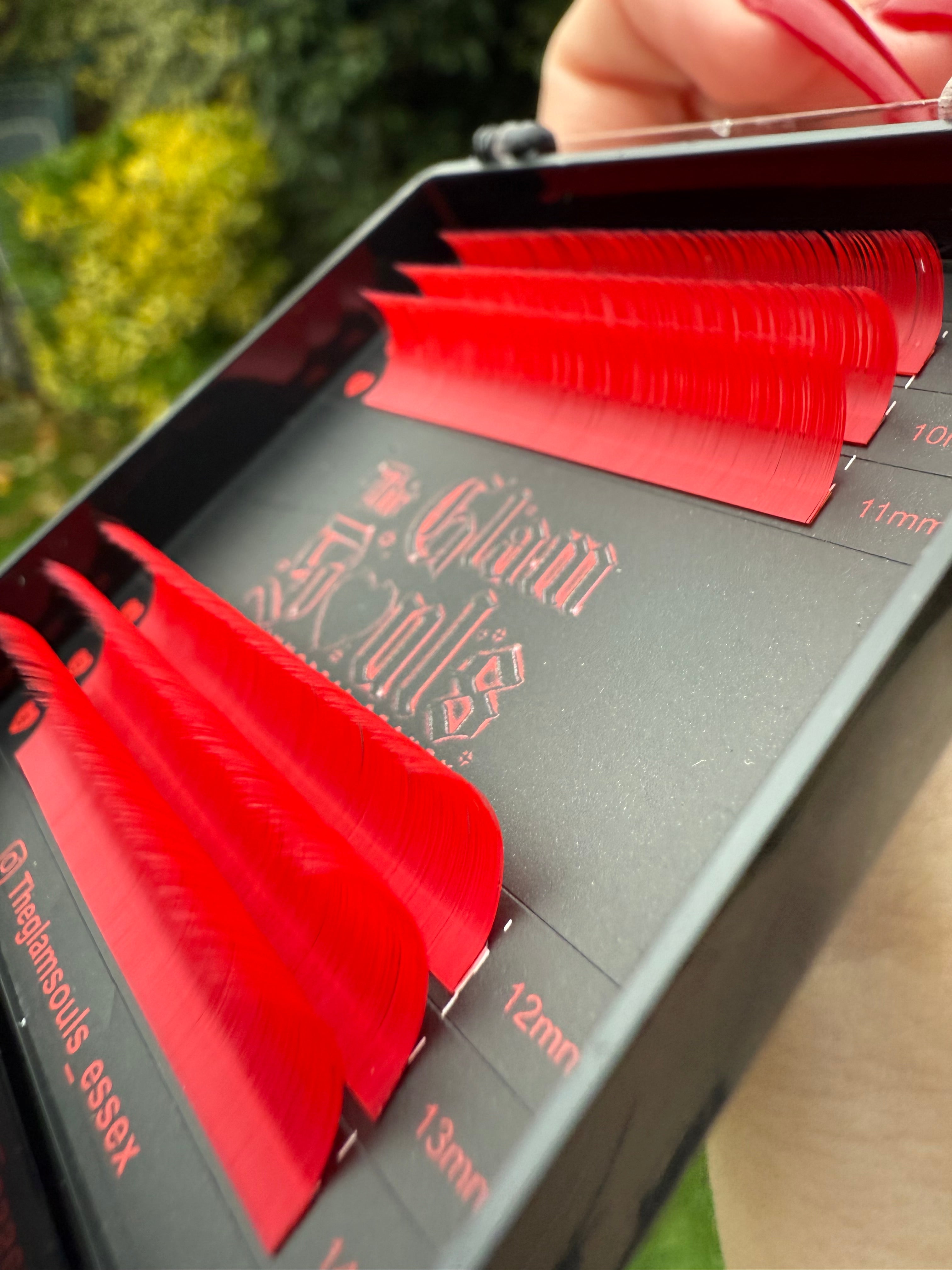Colour Duo Lash Trays
