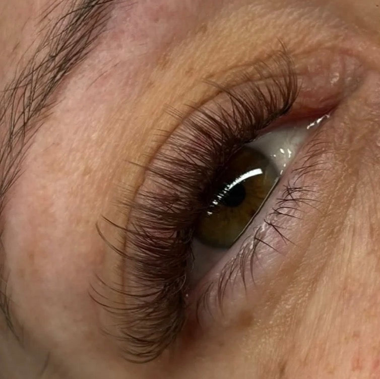 Dark Brown Lashes
