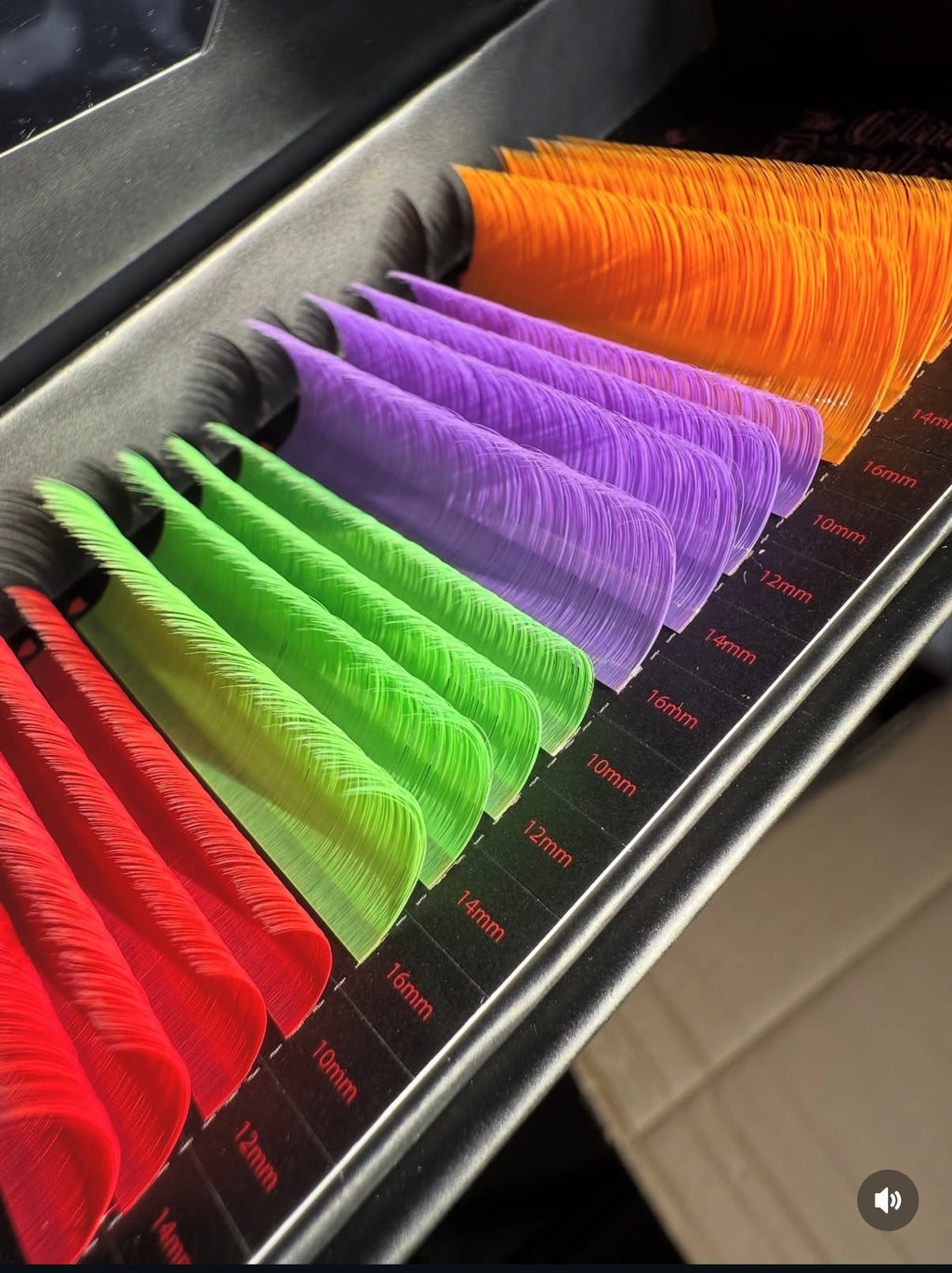 The Cursed Collection - Halloween edition lash tray⚰️
