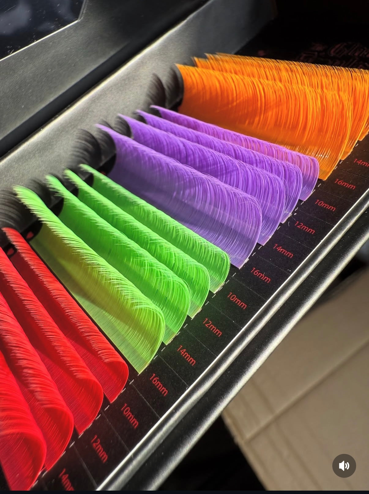 Colour Duo Lash Trays